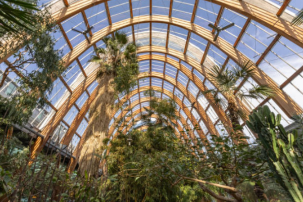 Conservatory and orangery extension